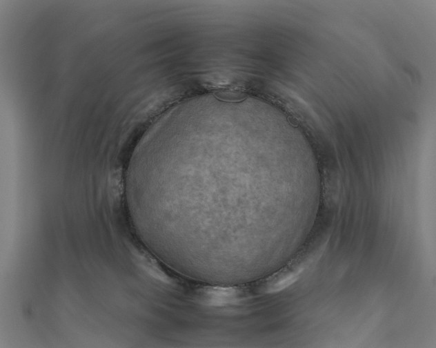 X0000112090085200908181312