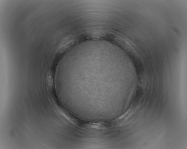 X0000112090086200908181312