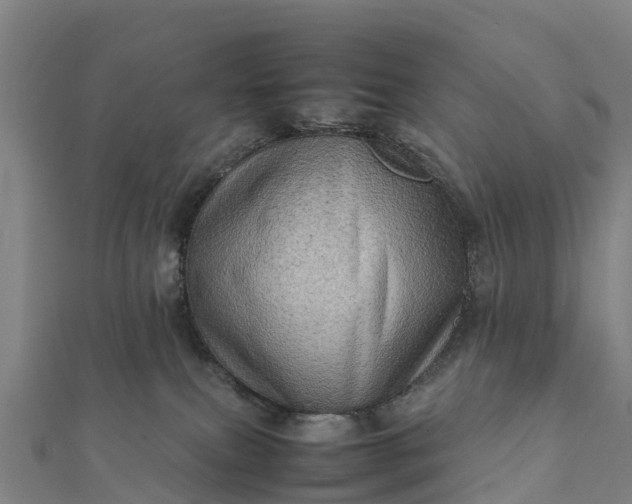 X0000112090087200908181312