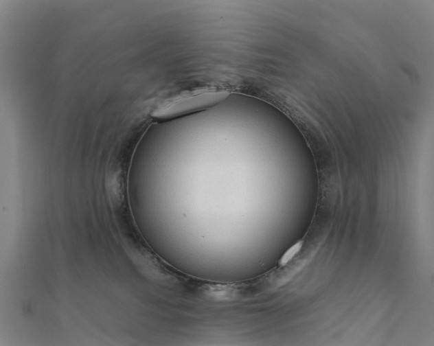 X0000112090088200908181313