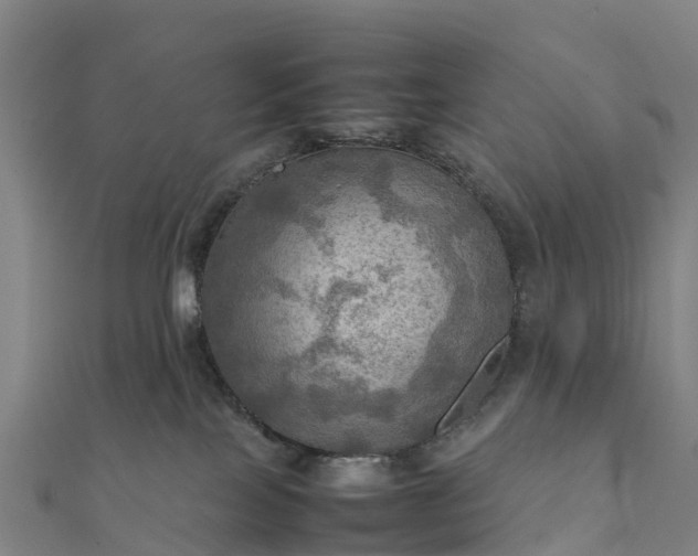 X0000112090089200908181313