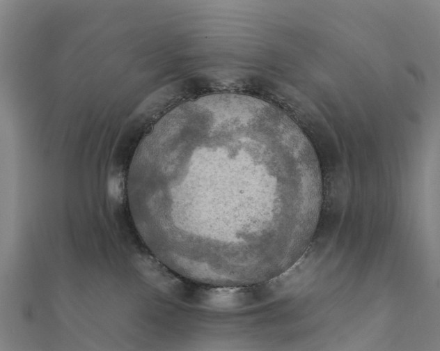 X0000112090090200908181313