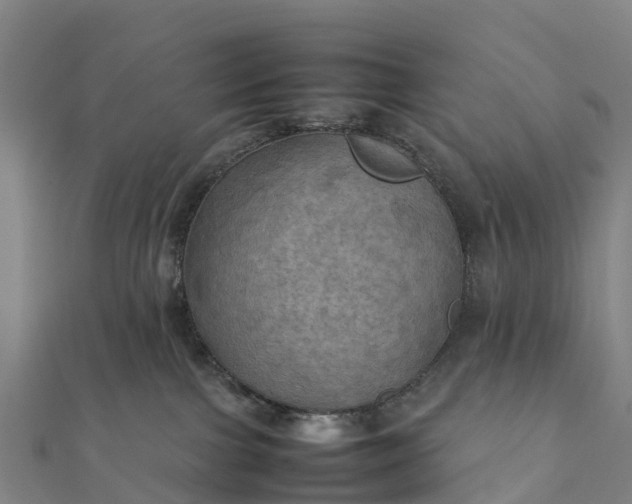 X0000112090091200908181313