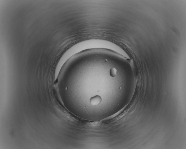 X0000112090092200908181313