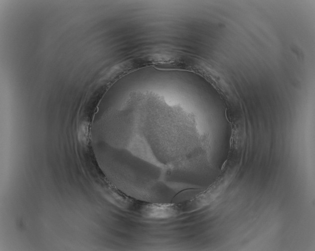 X0000112090093200908181313