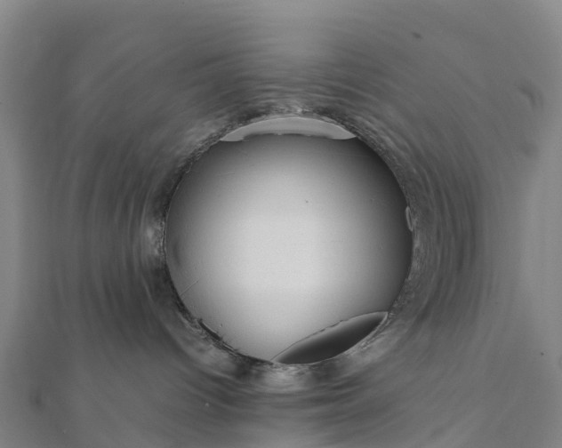 X0000112090096200908181313