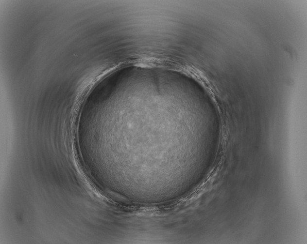 X0000112090097200908181312