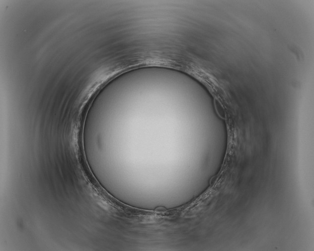 X0000112090098200908181312