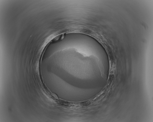 X0000112090099200908181312