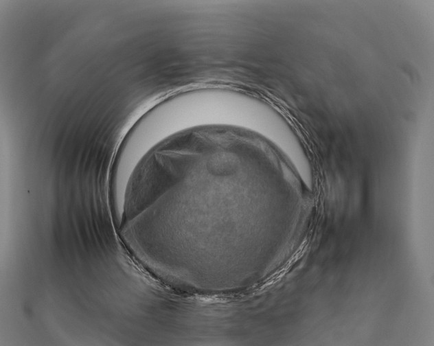 X0000112090100200908181312