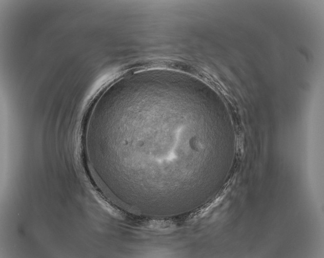 X0000112090101200908181312