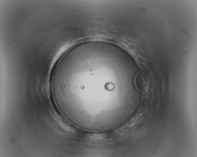 X0000112090102200908181312