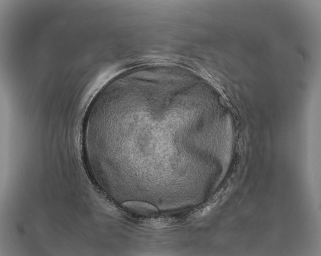 X0000112090103200908181312