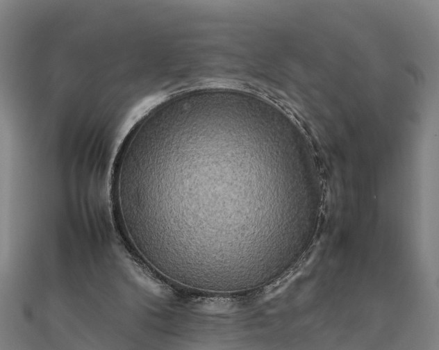 X0000112090104200908181312