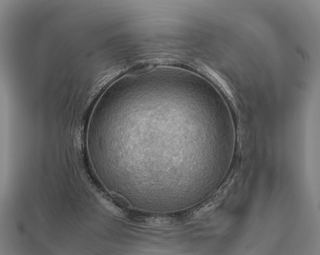 X0000112090105200908181312