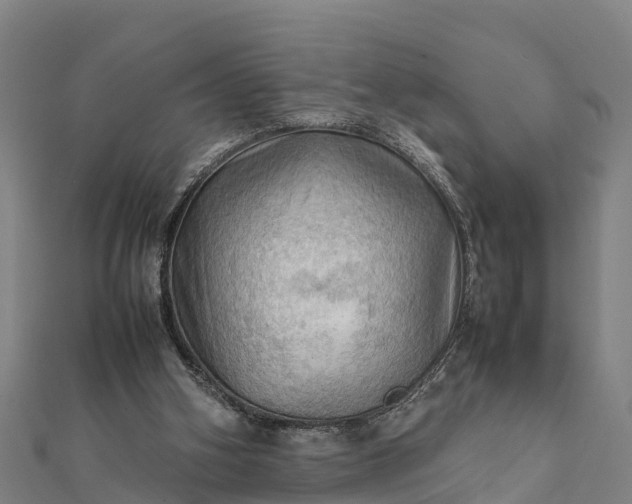 X0000112090106200908181312