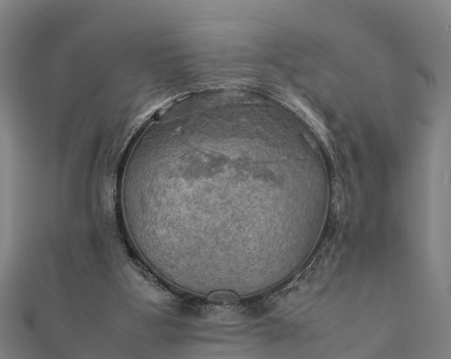 X0000112090107200908181312