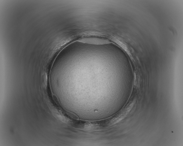 X0000112090109200908181312