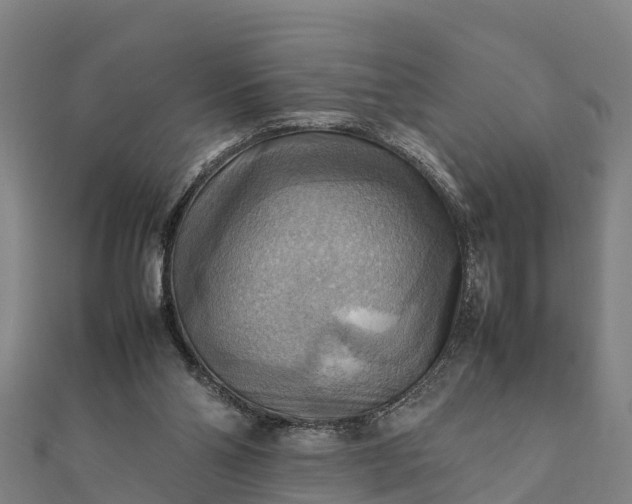 X0000112090110200908181312