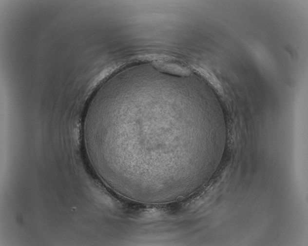 X0000112090111200908181312