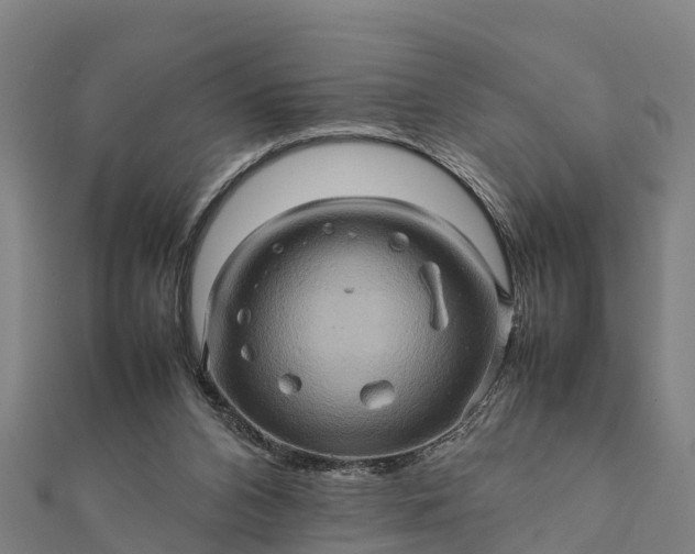 X0000112090112200908181312