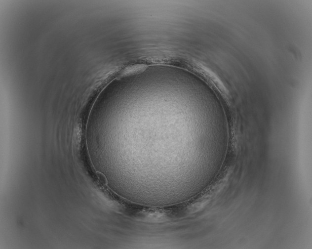 X0000112090113200908181312