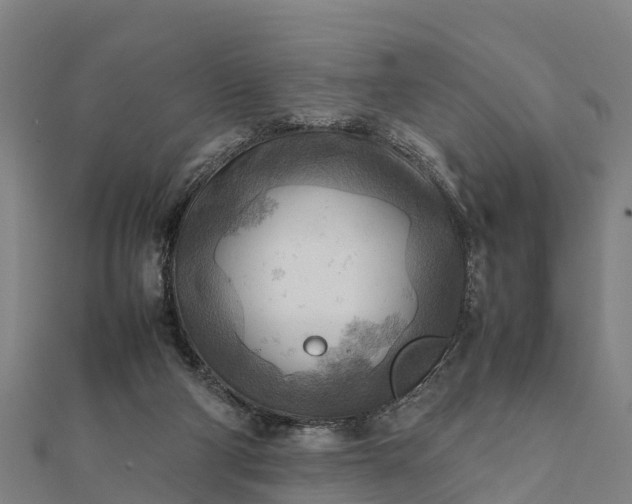 X0000112090114200908181312