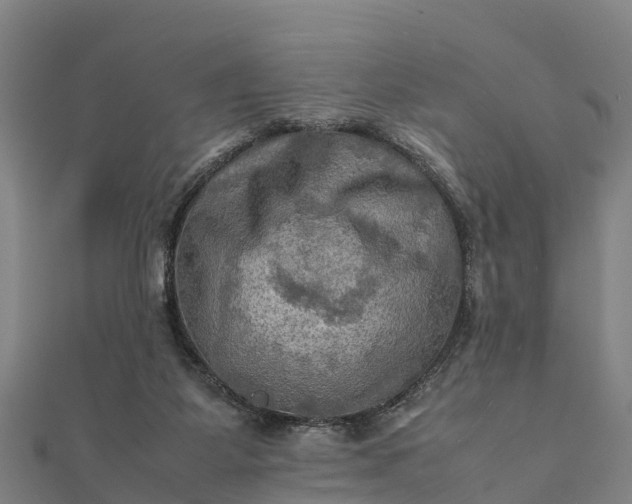 X0000112090115200908181312