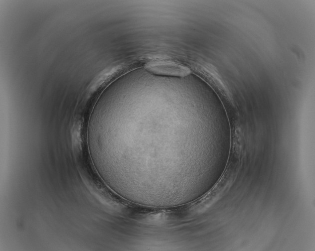 X0000112090116200908181312