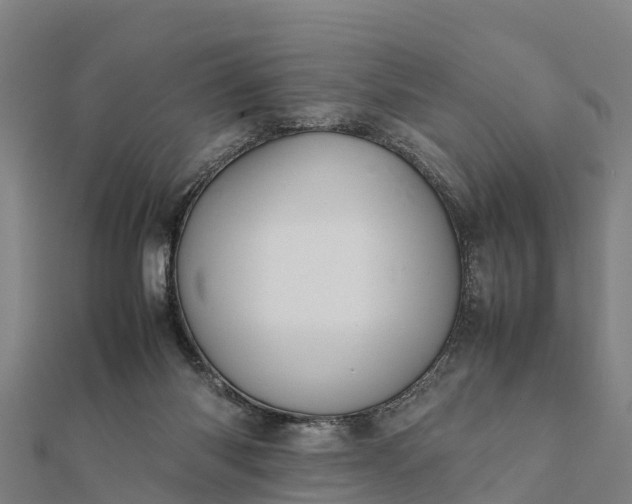 X0000112090118200908181312