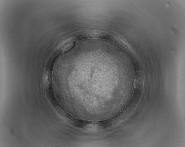 X0000112090119200908181312