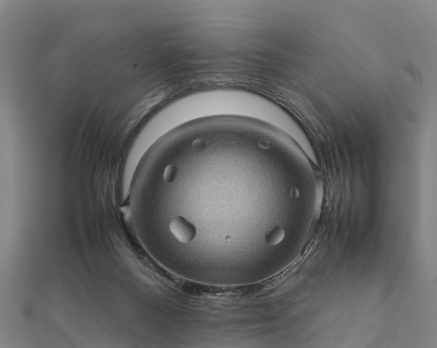 X0000112090120200908181312