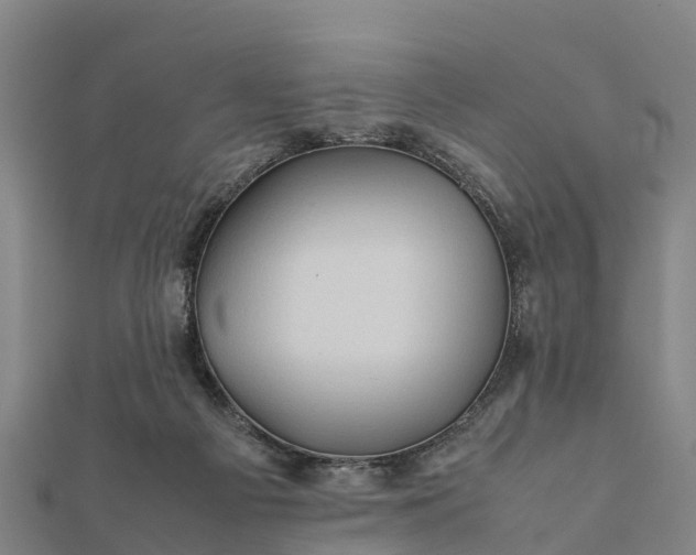 X0000112090121200908181312