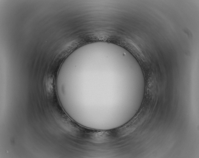 X0000112090122200908181312