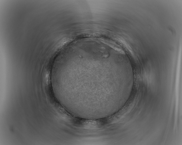 X0000112090123200908181312