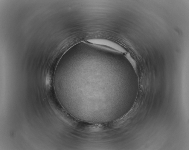 X0000112090124200908181312