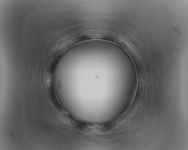 X0000112090125200908181312