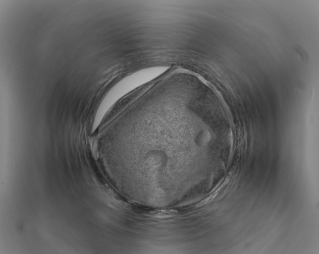 X0000112090128200908181312