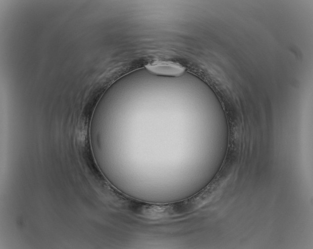 X0000112090129200908181312