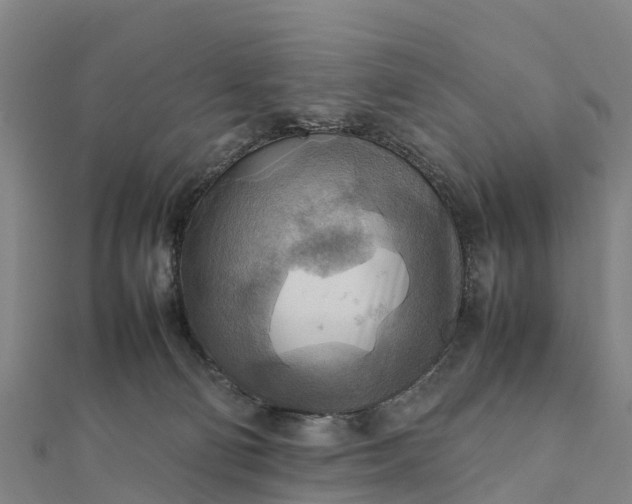 X0000112090130200908181312