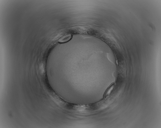 X0000112090131200908181312