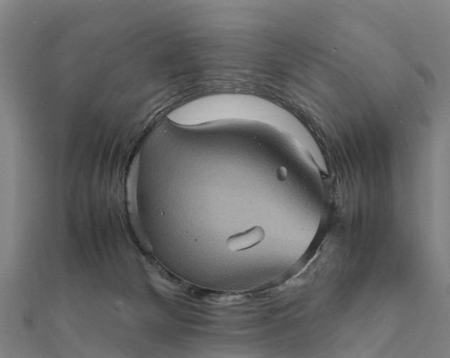 X0000112090132200908181312