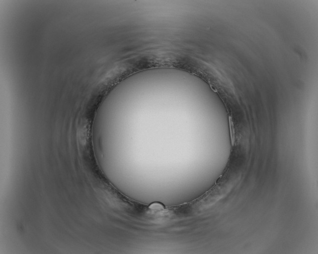 X0000112090133200908181312