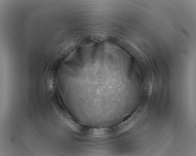 X0000112090134200908181312