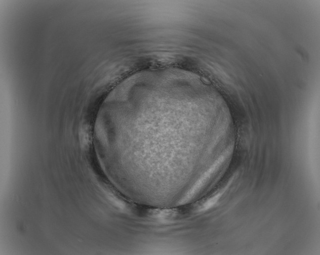 X0000112090135200908181312