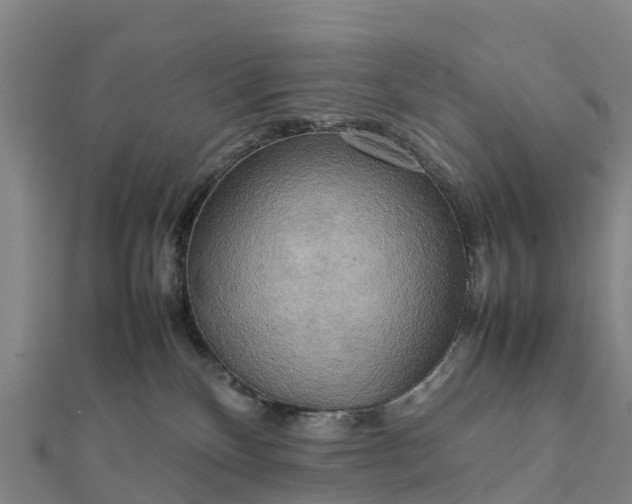 X0000112090136200908181311