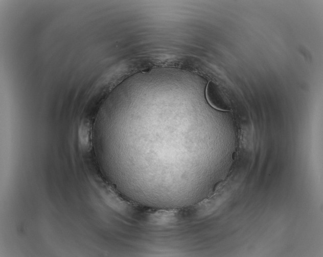 X0000112090138200908181311