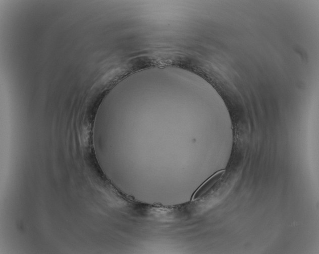 X0000112090139200908181311