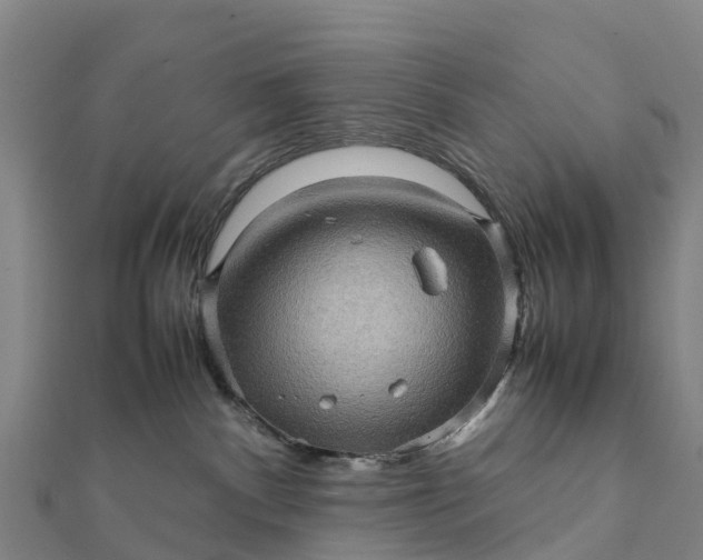 X0000112090140200908181311