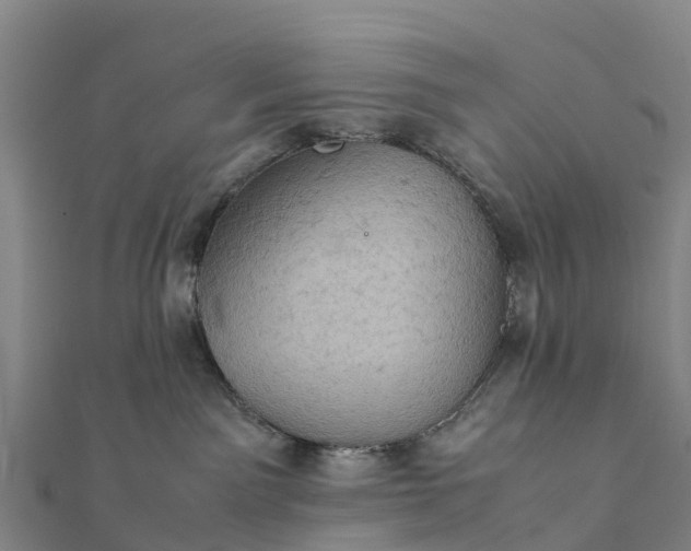 X0000112090141200908181311